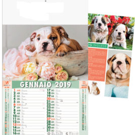 Calendario Cani e Gatti figurato, Art. 45 grafica testata personalizzabile