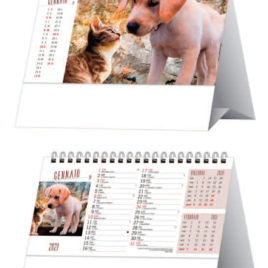 Calendario Cani e Gatti da tavolo, Art.72 grafica personalizzabile